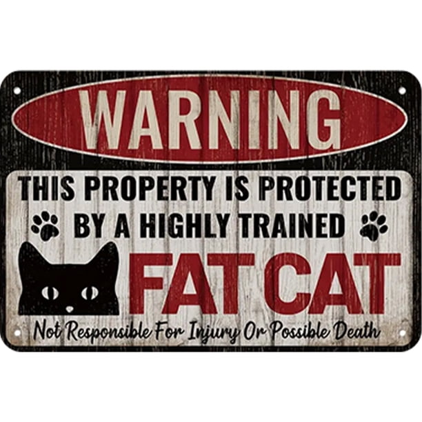 Placa Metal Vintage Advertencia Gato Pintura Hierro Rectangular Artística Pared 30x20cm