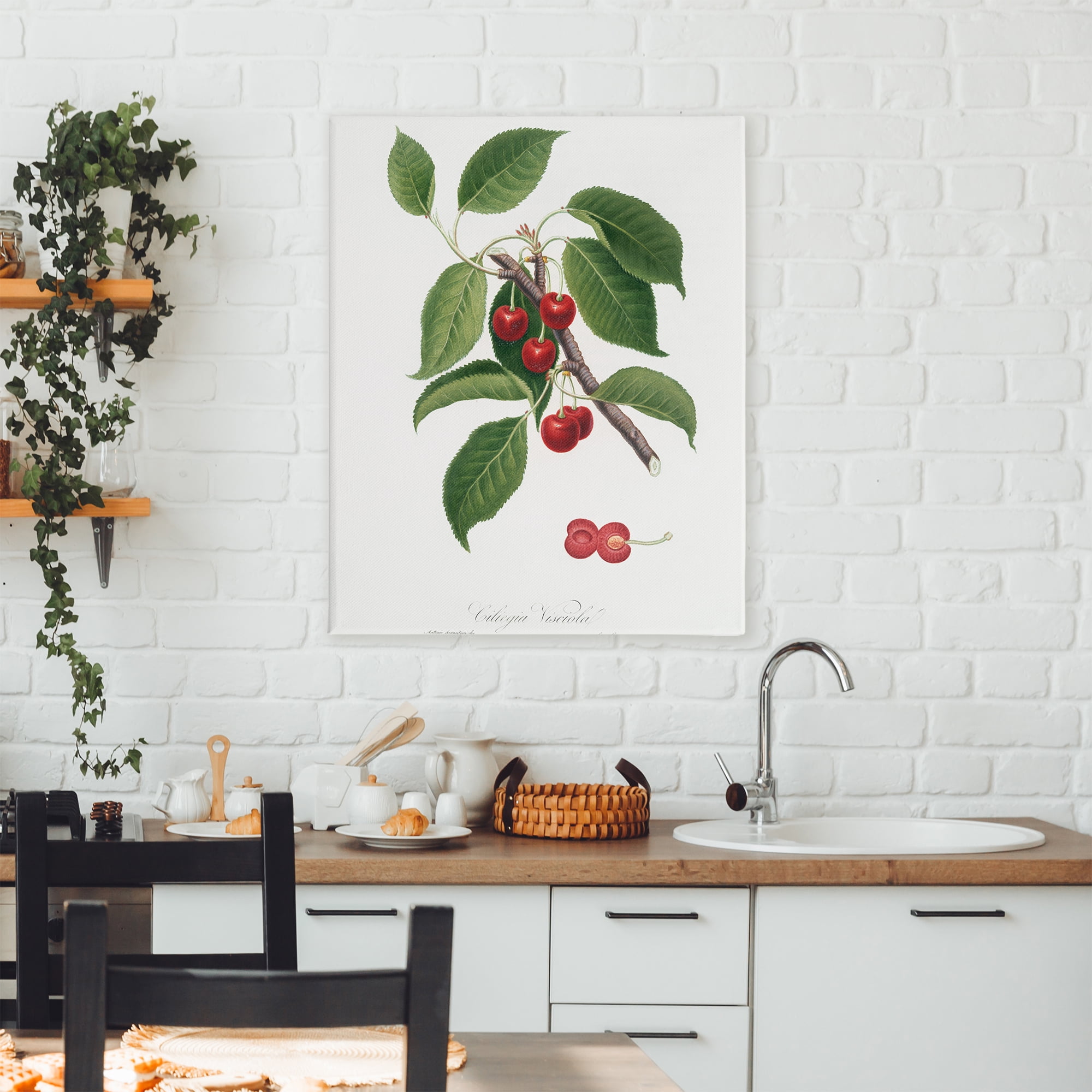 Latin Study of Cherry Plant Canvas Wall Art, design by Lettered and Lined