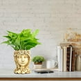 thumbnail image 3 of Creative Resin Plant Succulent Flowerpot Ornaments, 3 of 7
