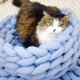 thumbnail image 4 of Cesta de cama tejida de algodón para mascotas, nido de gato tejido cálido, acogedor abrazador para perros y gatos, lana de gato tejida gruesa y cálida hecha a mano para mascotas de 30cm, 4 of 5