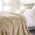 Exclusivo Mezcla Plush Fuzzy Fleece Twin Size Bed Blanket, Super Soft