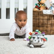Taggies Soft Toy, Heather Hedgehog