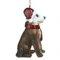 thumbnail image 6 of Design Toscano Pitbull Holiday Dog Ornament Sculpture, 6 of 6