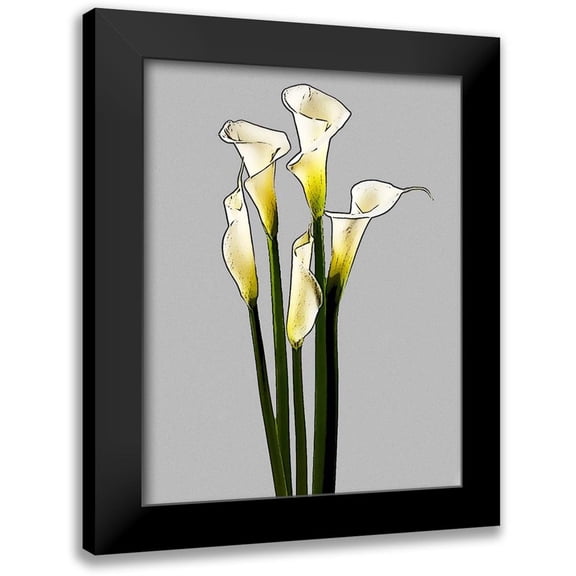 Segal, Alan 12x14 Black Modern Framed Museum Art Print Titled - Calla