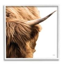 Close Up Cattle Horn Photography Animals & Insects Photograph White Framed Art Print Wall Art