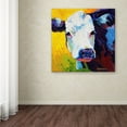 thumbnail image 3 of Trademark Fine Art 'Belle' Canvas Art by Marion Rose, 3 of 3
