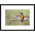 thumbnail image 1 of Global Gallery Eyal Amer 'The Scream!' Framed Wall Art, 1 of 4