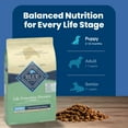 thumbnail image 3 of Blue Buffalo Life Protection Formula Puppy Dry Dog Food, Lamb & Oatmeal, 30 lbs., 3 of 12