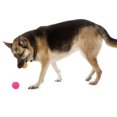 thumbnail image 4 of goDog Silent Squeaker Balls - Dog Toy, 4 of 5
