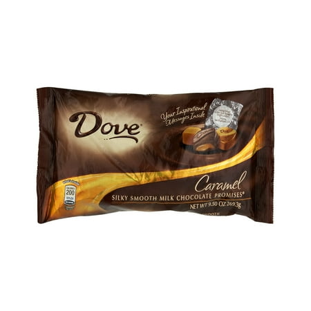 UPC 040000206378 product image for Dove Promises Silky Smooth Caramel Milk Chocolate, 9.5 oz | upcitemdb.com