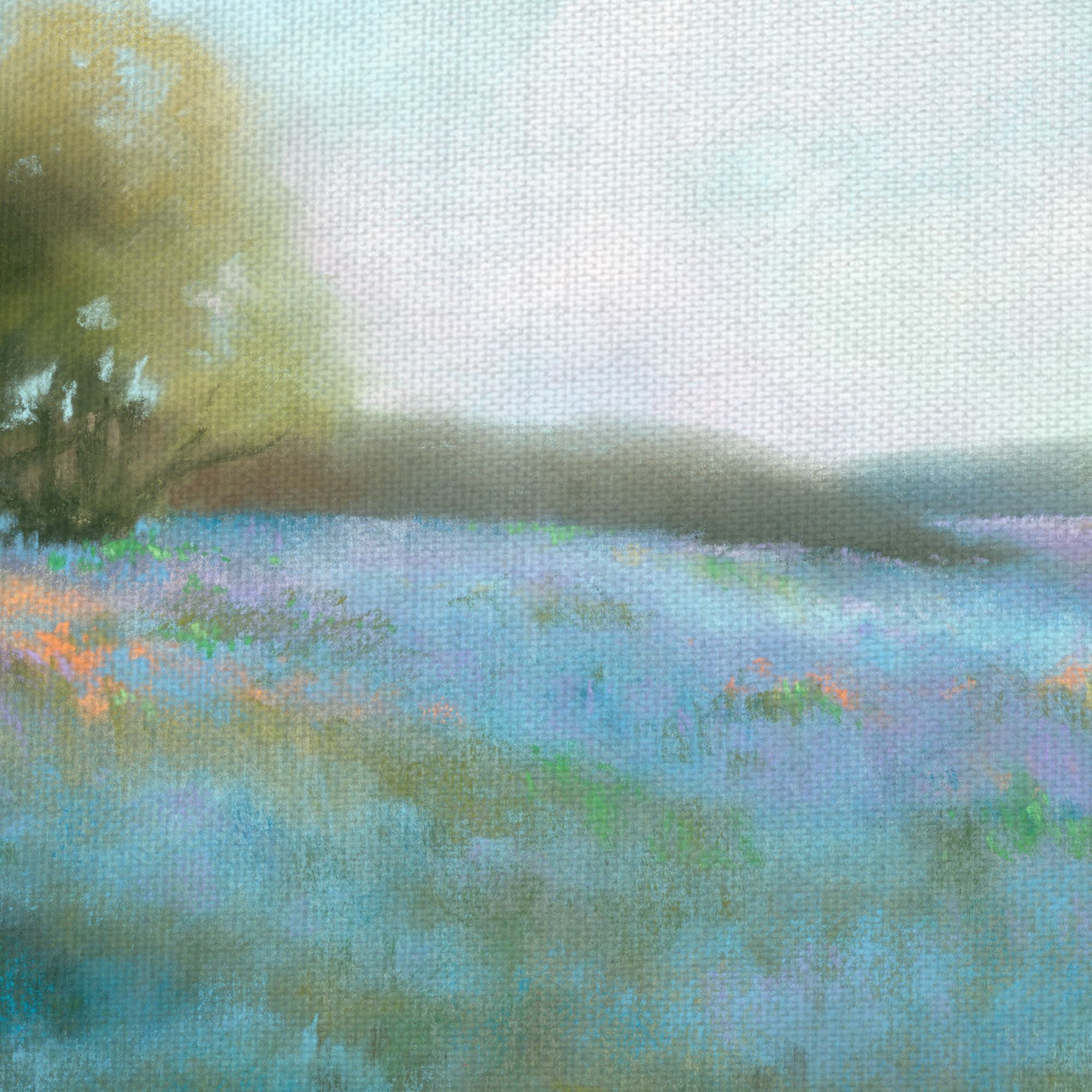 Fine Art Canvas Spring Blues II Meadow Blossoms by Teri Jonas Canvas Art Print