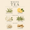 thumbnail image 3 of White Tea Reed Diffuser, 3 of 4