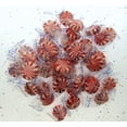 thumbnail image 2 of Starlight Mints Sugar Free Coastal Bay 8oz Peppermint  Half Pound, 2 of 5