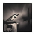 thumbnail image 4 of "Sparrow in Surrealism" - Canvas, 4 of 25