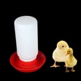 thumbnail image 5 of STAGA Chick Feeder and Waterer Combo 1 Chicken Feeder & 1 Chicken Waterer Birds Poultry Feeding Equipment Kit Red, 5 of 6