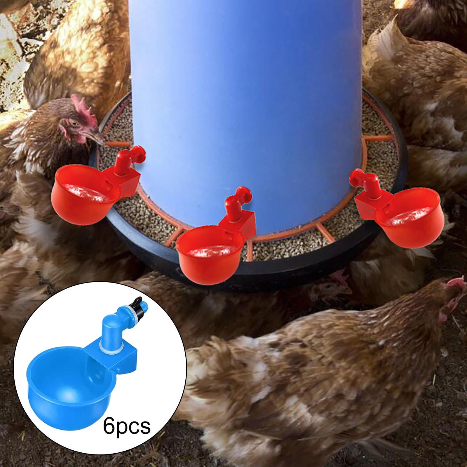 6x Quail Chicken Cups Backyard Chicks Ducks Birds Cage Poultry Watering