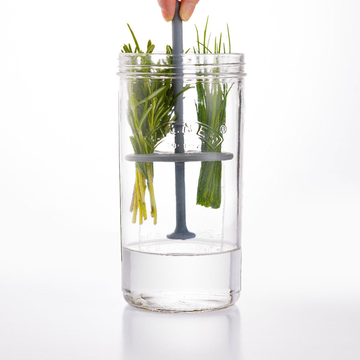 Kilner Create & Make Fresh Herb Keeper