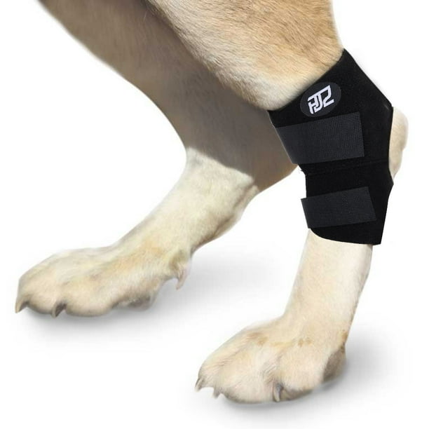HJZ Dog Canine Rear Leg Hock Joint Protection Brace Paw Compression