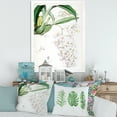 thumbnail image 3 of Designart 'Ancient White Orchid II' Traditional Framed Art Print, 3 of 4