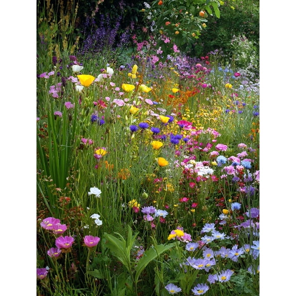 Vibrant Floral Impressionism Canvas Print Wall Art, Decor for Living Room Bedroom Dining Room Entryway Office