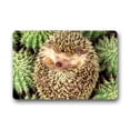 thumbnail image 1 of RYLABLUE Tapis de Sol Hérisson Intérieur Extérieur 30x18 Pouces, 1 of 2