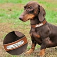 thumbnail image 6 of Didog Personalized PU Leather Small Dog Collar Free Engraving Cat Pet Puppy ID Name Number, 6 of 7