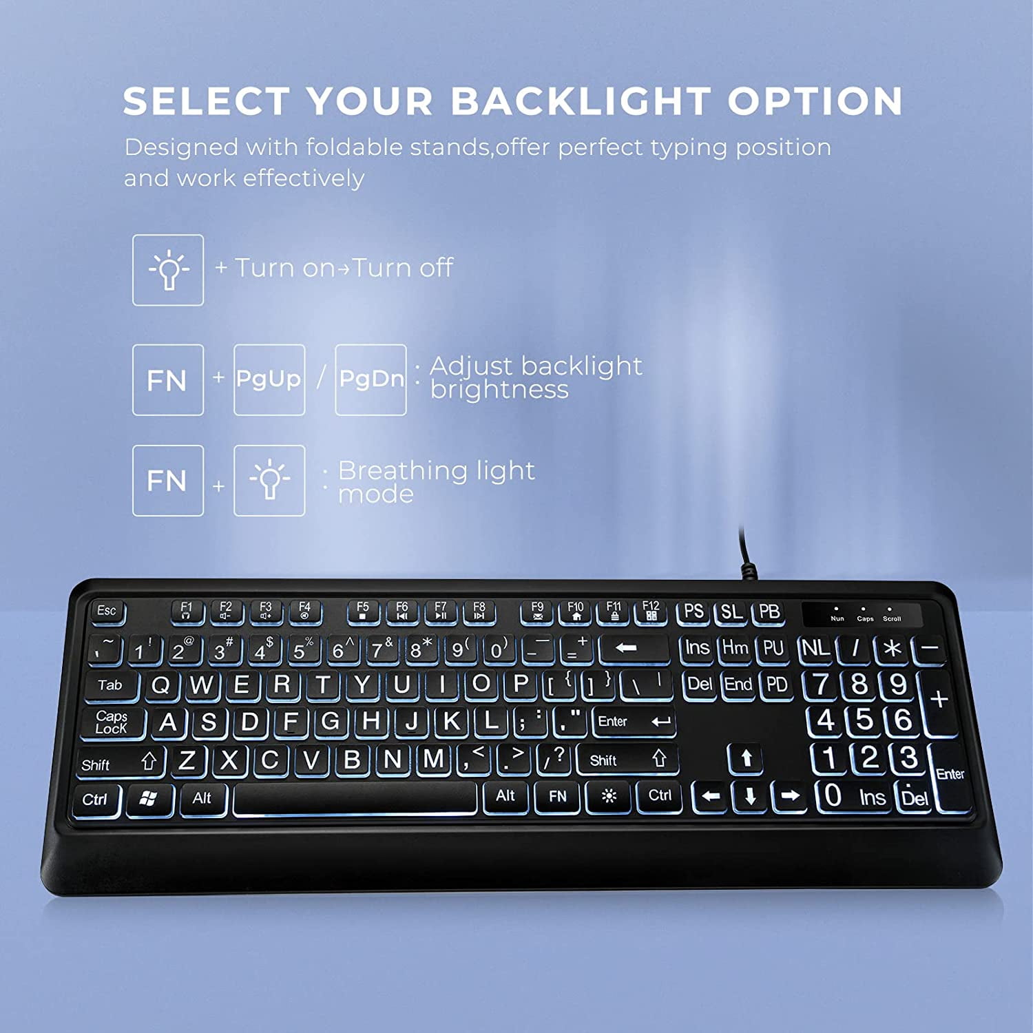 Large Print Backlit Keyboard, Quiet USB Wired Computer Keyboard, Full Size Keyboard with White Illuminated LED Compatible for Windows Desktop, Laptop, PC, Gaming, Black