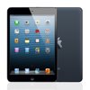 2012 Apple iPad Mini 7.9" Display 32GB Storage WiFi Only MD529LL/A - Black (Scratch and Dent Used)