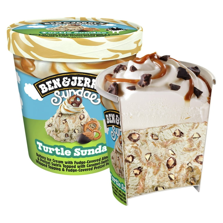 Ben & Jerry's Turtle Sundae Ice Cream Frozen Desserts, 14.4 fl oz