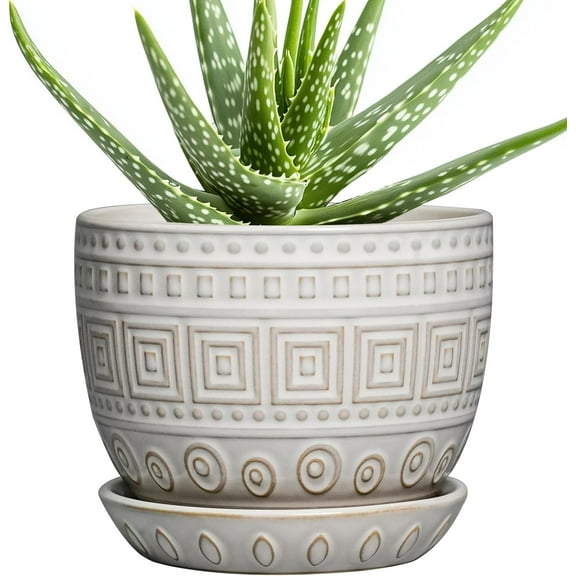 Ceramic Pots for Plants - 5 Inch Plant Pot Indoor with Drainage Hole and Saucer, Outdoor Flower Pot, Decorative Round Planter for Succulent Orchid Snake Plants, White