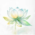 thumbnail image 2 of Atelier B Art Studio 12x12 White Modern Wood Framed Museum Art Print Titled - Lotus Flower, 2 of 4