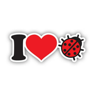 Foamies Ladybug Love Stickers (70)* – Inspire-Create
