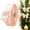 Champagne Pink, variant on ZFSBZBS 1 Roll 1 Inch Wide Solid Satin Ribbon, 25 Yards Long Craft Fabric Ribbon for Gift Wrapping Floral Bouquets Wedding Party Decoration,Rose Pink