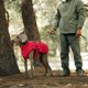 thumbnail image 5 of Chaqueta reflectante para exterior, abrigo cálido cortavientos con aberturas, chaqueta de invierno cálida con correas ajustables integradas, ideal para llevar al aire libre, 5 of 5