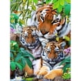 thumbnail image 2 of Cuadros Decorativos Kit de pintura de diamante 5D mosaico de taladro redondo de animal DIY (B3580) Tmvgtek embutido en tela, 2 of 9