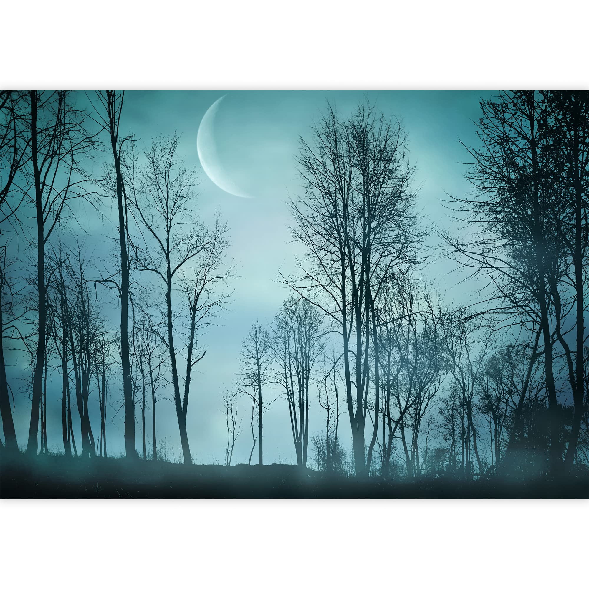 wall26 - Night Forest in Vintage Background - Removable Wall Mural | Self-Adhesive Large Wallpaper - 100x144 inches