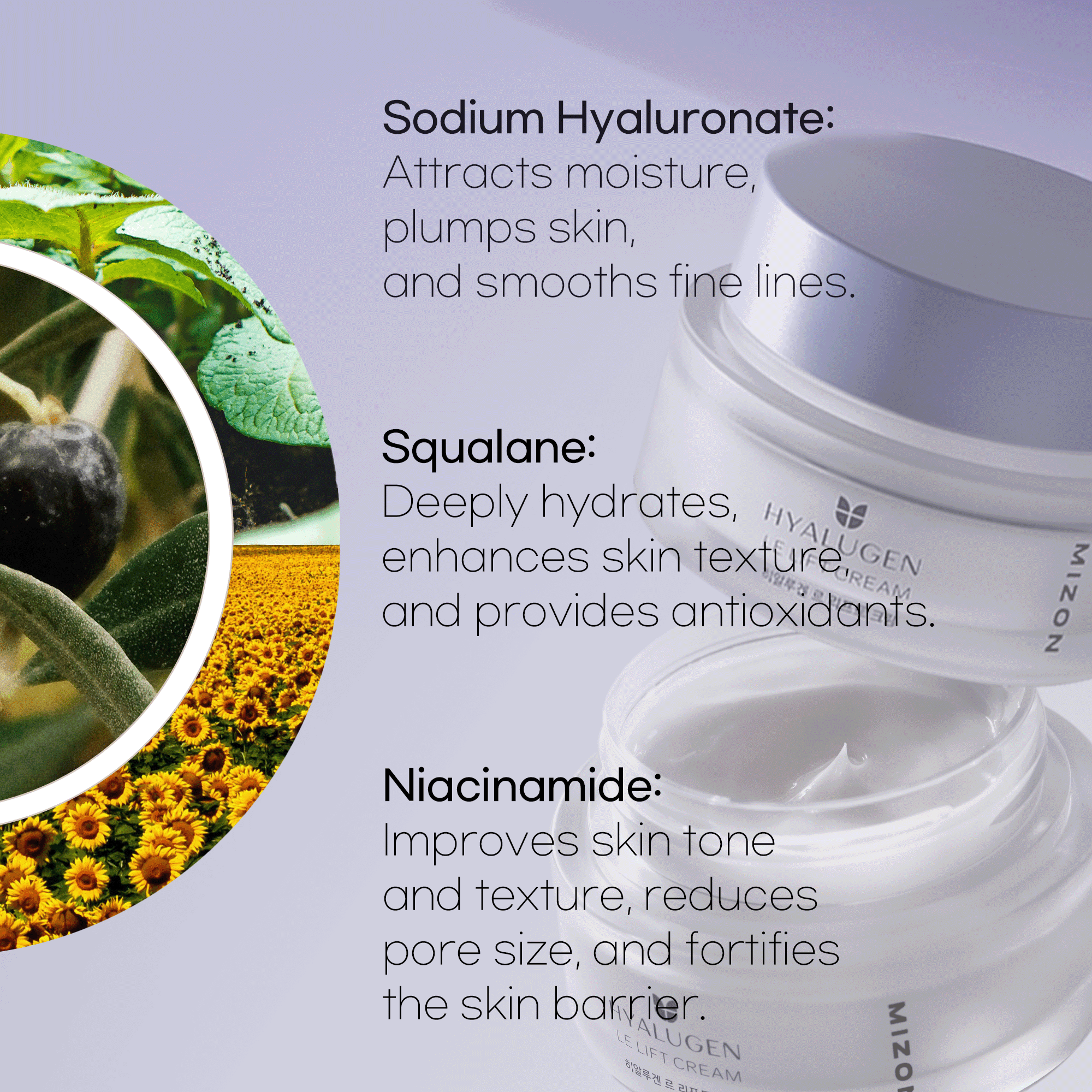 Hyalugen Le Lift Face Cream 1.69 oz - Hydrating, Brightening, Anti-Aging Moisturizer with Squalane and Niacinamide