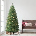 thumbnail image 3 of 7 ft Pre-Lit Carson Artificial Pine Tree, 3 of 7