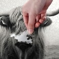 thumbnail image 3 of Highland Cow Wooden Jigsaw Puzzles, Intellectual Entertainment Educational Puzzles Fun Family Game Creative Gift for Friends Parents Grandparents, 500 Pieces, 3 of 6