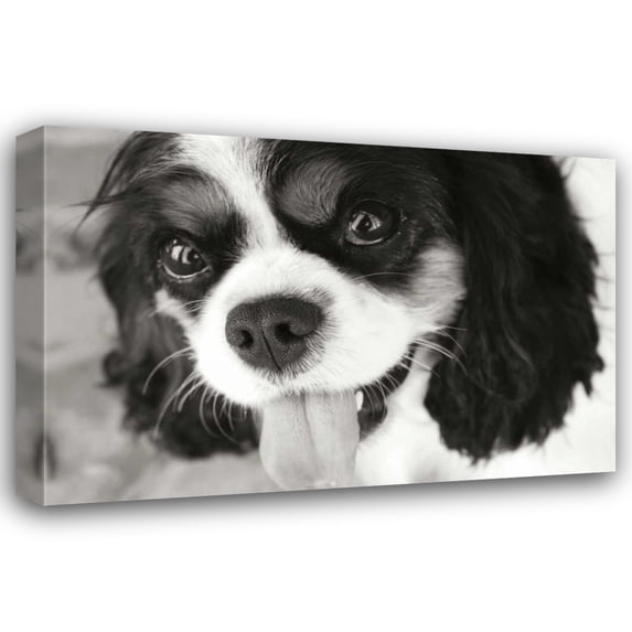 Karyn Millet 18x13 Gallery Wrapped Canvas Wall Art Titled - King Charles Spaniel