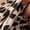 Black, variant on IMENGL Women's Slim-Fit Camisole Casual 2 In 1 Ice Adjustable Spaghetti Strap In Bra Cropped Leopard Star Print Neck Crop Summer Daily We Sleeveless Soft Tank Top for Womens,M-XL