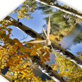 thumbnail image 4 of 3drose, California, Bishop. Bishop Canyon, Autumn Color and Blue Lake, 13x13 Wall Clock, 4 of 9