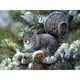 thumbnail image 1 of Cuadros Decorativos Diamante pintura 5D completo redondo taladro mosaico DIY lindo ardilla Kit para decoración de pared Ehuebsd Nuevos Originales, 1 of 9