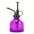 thumbnail image 1 of Botella pulverizadora de riego de vidrio, regadera con bomba superior de plástico de bronce Vintage, botella de pulverización de vidrio, señor de plantas, para plantas de casa, 1 ud., 1 of 5