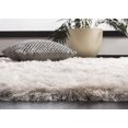 thumbnail image 2 of Safavieh Paris Darwin Plush Shag Area Rug, 2 of 9