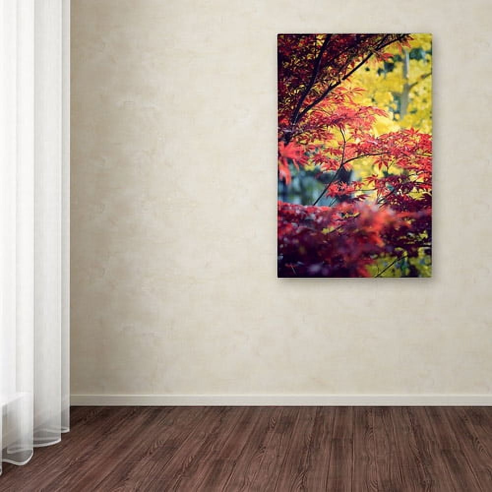 Trademark Fine Art "Red vs Yellow" Canvas Art by Philippe Sainte-Laudy