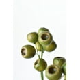 thumbnail image 3 of 19" Faux Green Pod Stem, 3 of 6