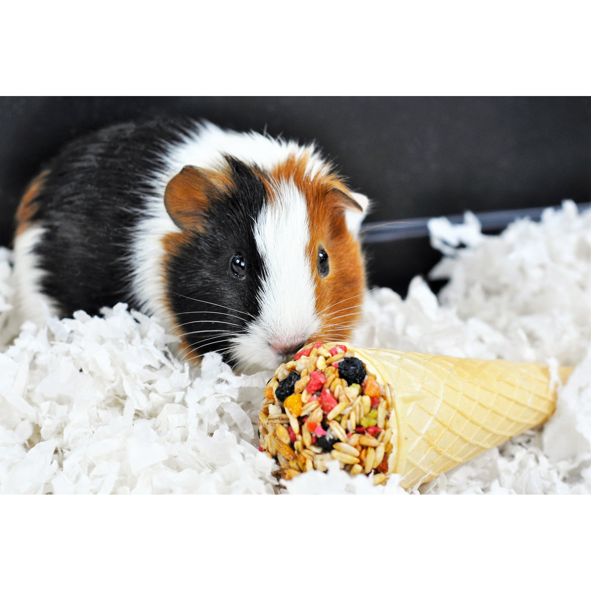 Can Bunnies Eat Guinea Pig Food