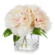 Enova Home Artificial Flowers Fake Silk Peony Flowers Arrangement in Cube Glass Vase with Faux Water for Home Office Wedding Party Decoration (Peach)