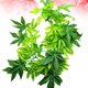 thumbnail image 5 of Planta acuática artificial colgante para acuario, pecera, decoración de hojas verdes, 50 cm, 5 of 7